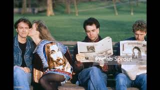 Prefab Sprout When love breaks down Live in Utrecht [upl. by Hcire]