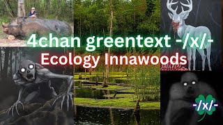 4CHAN GREENTEXT X ECOLOGY INNAWOODS [upl. by Nohsyt826]