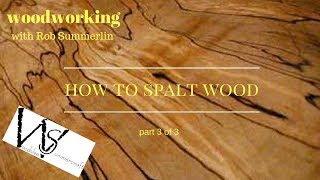 how to spalt wood part 3 of 3 [upl. by Adnahs]