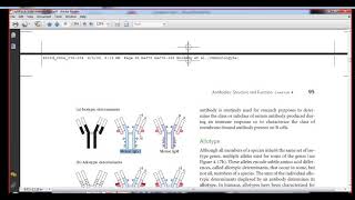 Immunology isotype allotypeidiotype determinants [upl. by Anyahs]