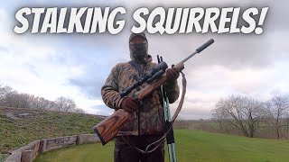 Stalking Grey Squirrels Golf Coarse Closed Pulsar C50 amp Lithgow LA101 17HMR amp Hornady VMAX [upl. by Diraf124]