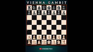 Guide to the Vienna Gambit [upl. by Aita]