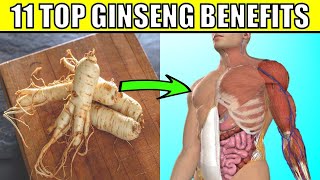 11 AMAZING Ginseng Health Benefits and Uses  How You Can Add Ginseng To Your Diet [upl. by Remle]