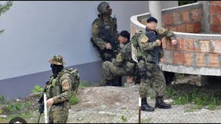 US concerned by large Serbian military mobilisation near Kosovo [upl. by Carmine]