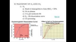 Respiratory System  Physiology  Part 1 [upl. by Achilles175]