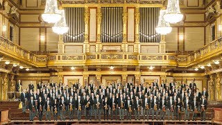 Das beste der Wiener Philharmoniker auf fidelio [upl. by Cohen192]