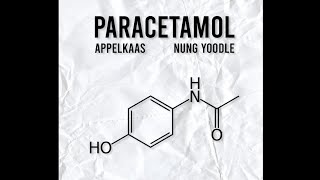 PARACETAMOL  Appelkaas amp Yung Noodle Official Audio [upl. by Ailugram869]