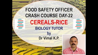 CEREALSRICE FOOD SAFETY OFFICER CRASH COURSE DAY22 [upl. by Martelli]