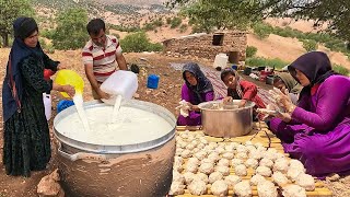 The cooperation between the Grandmas family to convert buttermilk into curd [upl. by Areem]