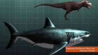 Shark Week Fans Angry Over Fake Megalodon Documentary [upl. by Woll]