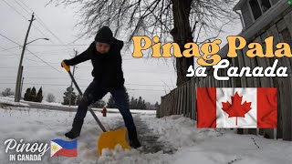 Clearing Snow in pathway of our house ofwcanada canadalife snow shoveling [upl. by Llaccm]