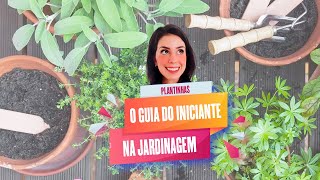 Jardinagem para Iniciantes  Dicas essenciais para quem está começando [upl. by Silvana]