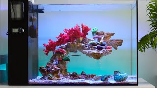 Bringing my Reef Aquarium Back to Life  Blue Reef Tank [upl. by Reinnej946]