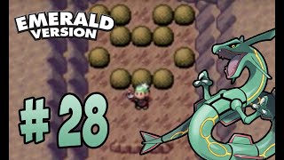 Pokémon Emerald Walkthrough Part 28  Seafloor Cavern [upl. by Annahtur]