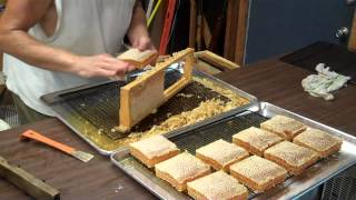 Cutting Comb Honey from the frames Honeybee Comb Honey [upl. by Ellingston]