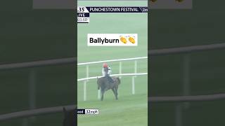 Ballyburn Triumphs in the Alanna Homes Champion Novice Hurdle [upl. by Hajidak17]