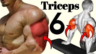 6 Exercises Get Wider Triceps Workout  my Hero Gym [upl. by Nedarb953]