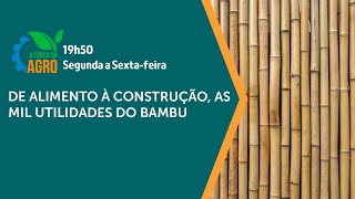 A Força do Agro  De alimento à construção as mil utilidades do bambu [upl. by Dredi]