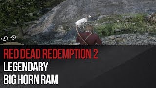 Red Dead Redemption 2 Where to Find the Legendary Gabbro Horn Ram in RDR2 Online RDR2 GabbroRam [upl. by Soule]