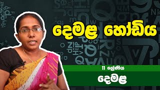 දෙමළ විෂය  දෙමළ හෝඩිය   11ශ්‍රේණිය  Tamil Subject  Grade 11 Epi 01 [upl. by Lihcox]