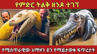 የሚስጥራዊው ደን አማዞን ድንቅ ተፈጥሮዎችamaizing nature zena ethiopia አስገራሚ amazingfacts [upl. by Eenad427]