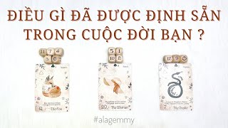 ĐIỀU GÌ ĐƯỢC ĐỊNH SẴN TRONG KIẾP SỐNG NÀY CỦA BẠN  🫧📝📖🎐🪞Tarot⛩️✨🌸🌺 [upl. by Deryl]