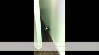 DIY Magnetic Door Stopper  Home Improvement Tips [upl. by Iaka]