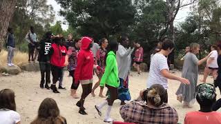 Brolga dance  Yolngu visit to Willum Warrain [upl. by Einnaf937]