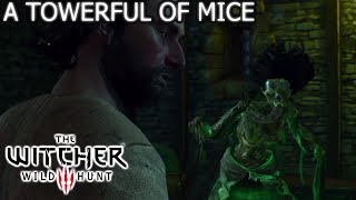 The Witcher 3 Wild Hunt  A Towerful of Mice  Fyke Isle Curse  full story [upl. by Adnoek]