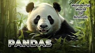 The Wonderful World Of Pandas [upl. by Meurer121]