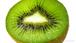 Kiwi Time Lapse [upl. by Debo293]