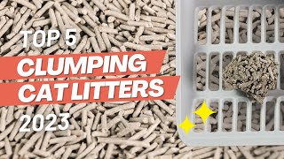 Top 5 BEST Clumping Cat Litter Brands 2023 [upl. by Bresee]