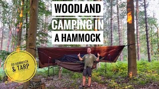 Wild Camping in the Woods  DD Hammock amp Tarp [upl. by Dedric]