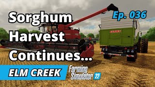 Finishing The Sorghum Harvest amp Field Prep  Elm Creek EP 036  Farming Simulator 22  FS22 [upl. by Nissa116]