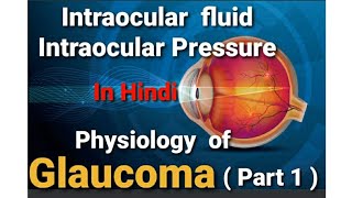 Physiology of glaucoma I Intraocular fluid amp intraocular pressure । opthalmology lecture Hindi Part1 [upl. by Toshiko]