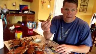 How To Eat Crabs  Best Way To Eat Maryland Blue Crab [upl. by Dawna]