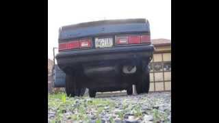 1983 chevy citation X11 updated walkaround and a little reving [upl. by Maurita]