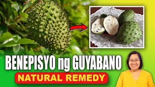 BENEPISYO ng GUYABANO antioxidant 🌿🤓 Natural Remedy  Tagalog Health Tips  Nurse Dianne [upl. by Yentterb888]