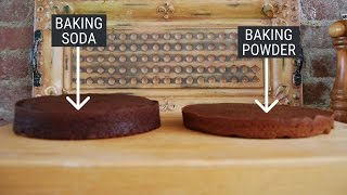 Heres the difference between baking powder and baking soda — and how to substitute one for another [upl. by Seugirdor]