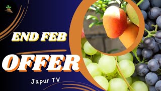 OFFEROFFEROFFERJAPUR FARM SOLUTIONS [upl. by Vedetta]