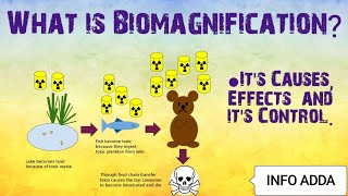 Biomagnification  Environmental issuesCauses Effects and Controls of Biomagnification [upl. by Jan]