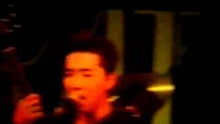 HILLBILLY BOPS【LIVE】Jeepster [upl. by Yruama785]