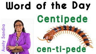 Word of the Day  Centipede  Learn to Read  Blending Letter Sounds  Breaking Words in Syllables [upl. by Ridglee]