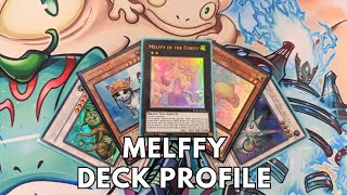 Competitive Melffy pure deck profile January 2024 TCG Yugioh [upl. by Harim895]