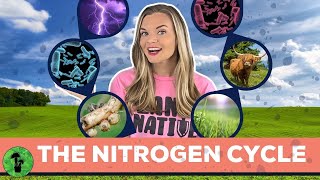 The Nitrogen Cycle [upl. by Leahcimed]