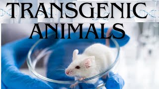 Transgenic Animals [upl. by Yerdua]