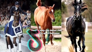 The Cutest HORSES Equestrian TikTok Compilation 219 [upl. by Oruam492]