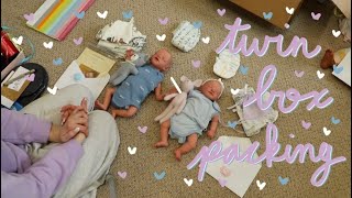 Custom Twin Reborn Babies Box Packing  Kelli Maple [upl. by Rehpotsyrhc]