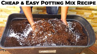 This is what happens when you use your own Potting mix vs Potting soil  EasyCheap DIY Potting Mix [upl. by Cobb867]