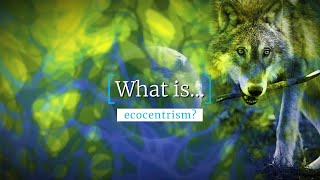 What Is Ecocentrism [upl. by Aineval56]